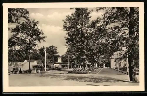 AK Berlin-Friedrichsfelde, Am Eingang zum Tierpark