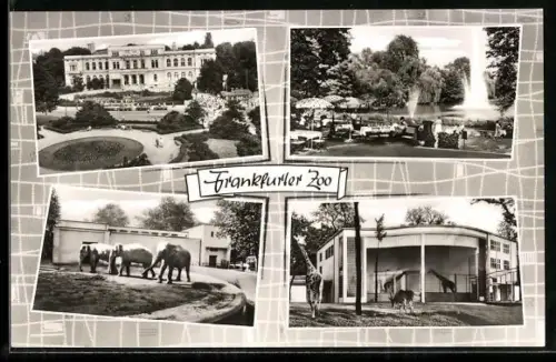AK Frankfurt, Frankfurter Zoo: Elefanten, Giraffen, Restaurant