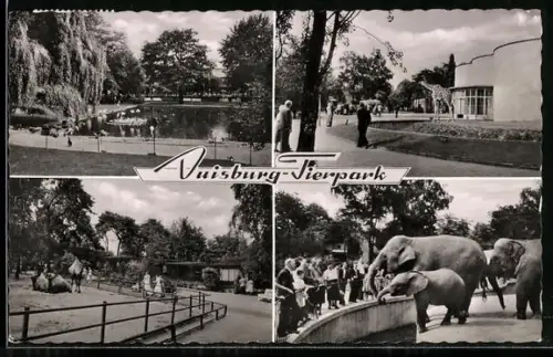 AK Duisburg, Tierpark, Giraffe vor Gebäude, Elefanten mit Besuchern