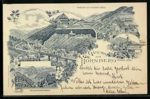 Lithographie Hornberg, Schloss-Hotel, Aussicht vom Schloss-Hotel, Bauernhaus