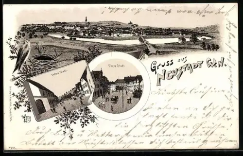 Lithographie Neustadt / Waldnaab, Obere und Untere Stadt, Gesamtansicht mit Umgebung