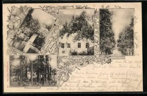 AK Reinsdorf, Restaurant Hohen-Mühle v. Julius Neumann mit Garten & Waldweg