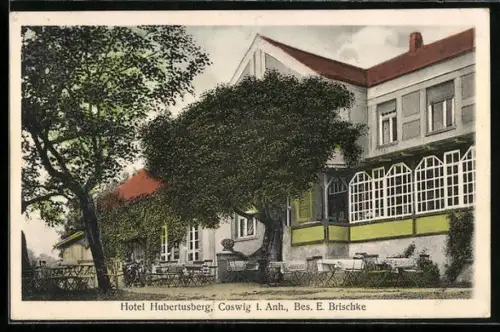 AK Coswig / Anhalt, Hotel Hubertusberg von E. Brischke mit Garten