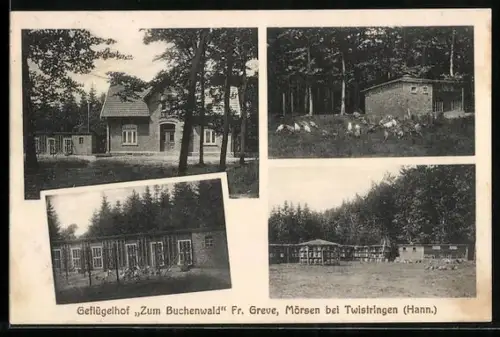 AK Mörsen bei Twistringen, Geflügelhof Zum Buchenwald, Bes. Fr. Greve