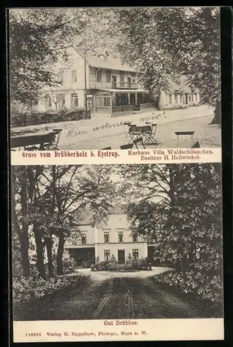 AK Drübberholz b. Eystrup, Kurhaus Villa Waldschlösschen, Gut Drübber