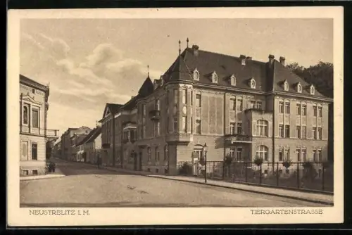 AK Neustrelitz i. M., Partie in der Tiergartenstrasse