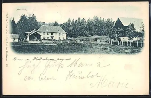 AK Kaltenbronn /Schwarzwald, Gasthaus, Waldansicht