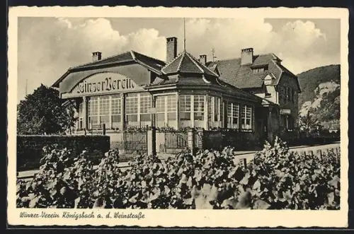 AK Königsbach a. d. Weinstrasse, Winzer-Verein, Weinberge