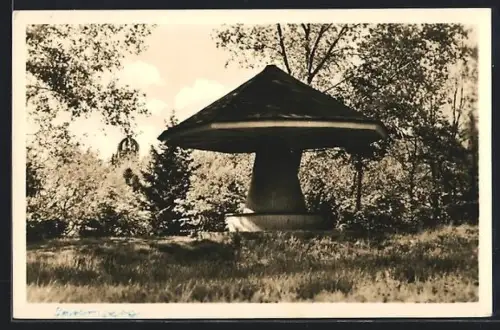 AK Spremberg, Pilz mit Georgenbergturm