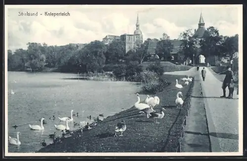 AK Stralsund, Partie am Knieperteich