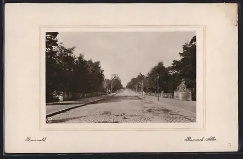 AK Grunewald, Partie in der Bismarck-Alle