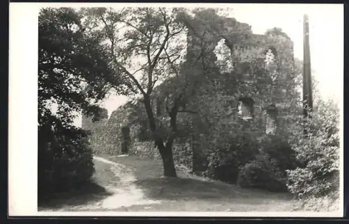 Foto-AK Petersberg /Halle, Alte Kapelle