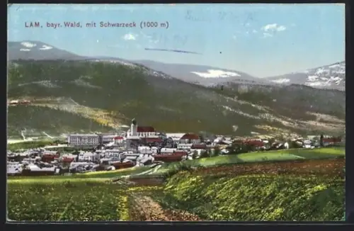 AK Lam /Bayr. Wald, Ortsansicht mit Schwarzeck
