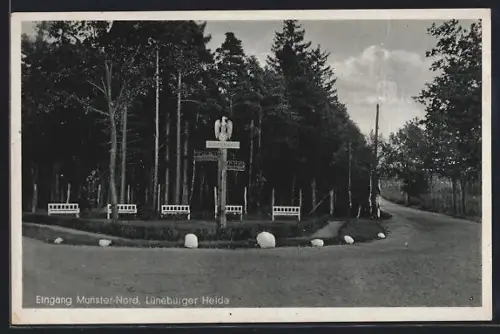 AK Munster /Lüneburger Heide, Eingang Munster-Nord, 