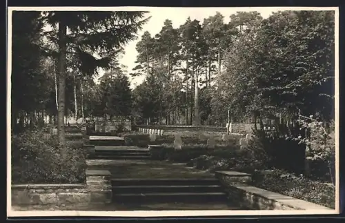 Foto-AK Munster, Waldehrenfriedhof
