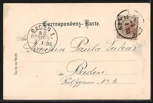 Lithographie Wien, Rathausplatz mit Rathaus