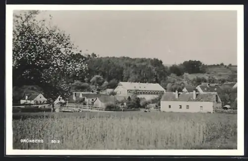 AK St. Bernhard-Frauenhofen, Grünberg, Panorama mit Gehöften und Feldern