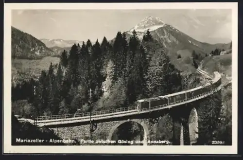 AK Gösing, Mariazeller Alpenbahn, Partie zwischen Gösing und Annaberg