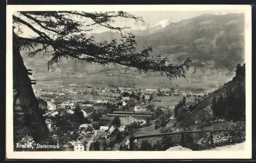 AK Trieben /Steiermark, Panorama mit Ort und Bergen