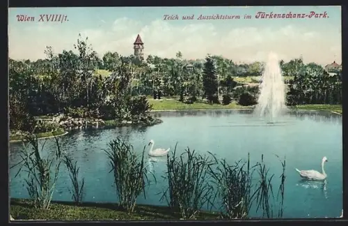 AK Wien, Teich und Aussichtsturm im Türkenschanz-Park