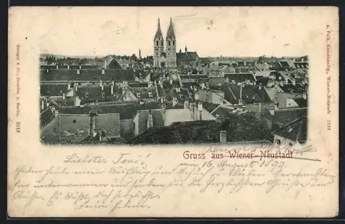 AK Wiener Neustadt, Panorama mit Kirche und Dächern