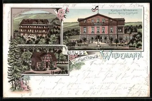 Lithographie Wildemann, Kurhaus Wildemann, Neues Kurhaus und Villa Marie