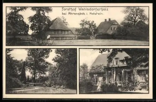 AK Ahrensbök i. Holstein, Forsthof Wahlsdorferholz, Aussenansicht