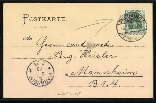 AK Freiburg / Breisgau, Boothaus der Mannheimer Rudergesellschaft