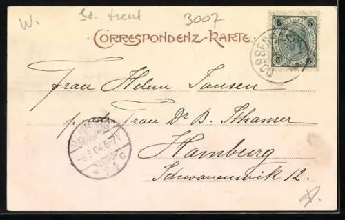 AK Gossensass, Panorama