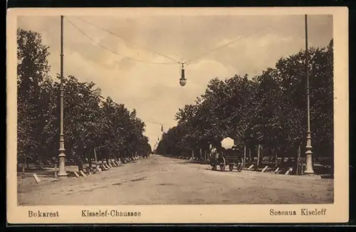 AK Bukarest, Soseaua Kiseleff, Kisselef-Chausse