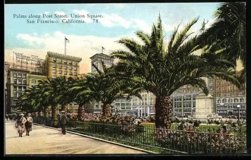 AK San Francisco, CA, Palms along Post Street and Union Square