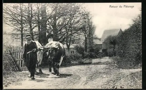 AK Ochsengespann auf einem Weg am Ort