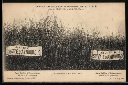 AK Aviron, Effets du Sulfate d`Ammoniaque sur Ble, Reklame Sulfate d`Ammoniaque