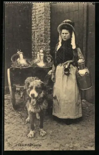 AK Laitière Flamande, Flämisches Hundegespann, Milchwagen