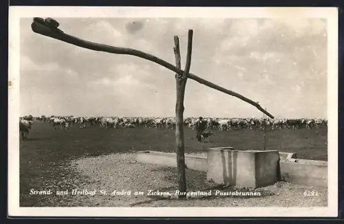 AK St. Andrä am Zicksee, Pusztabrunnen