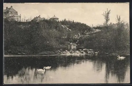 AK Wien, Cafe-Restaurant Türkenschanzpark