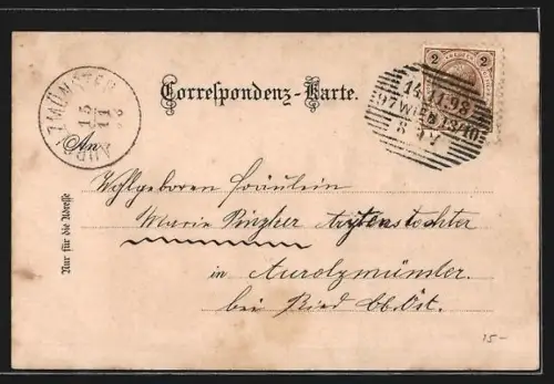 Lithographie Wien, Rathaus mit Brunnen