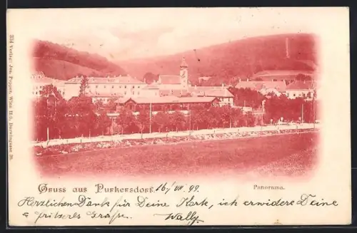 AK Purkersdorf, Panorama mit Kirche und Häusern