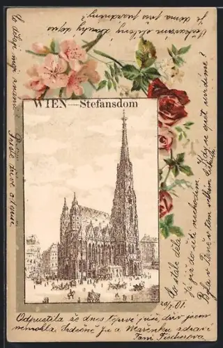 Lithographie Wien, Am Stefansdom