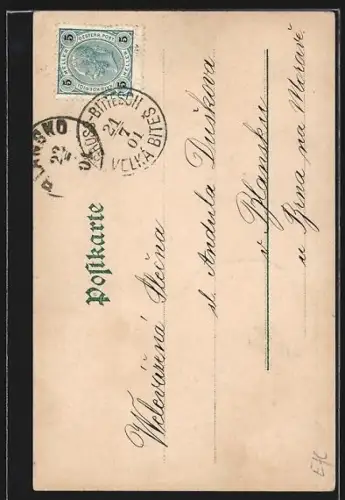 Lithographie Wien, Am Stefansdom