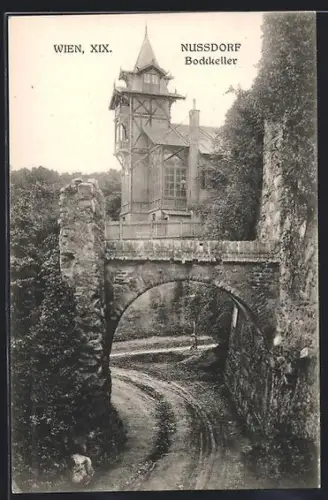 AK Wien, Nussdorf, Blick zum Bockkeller
