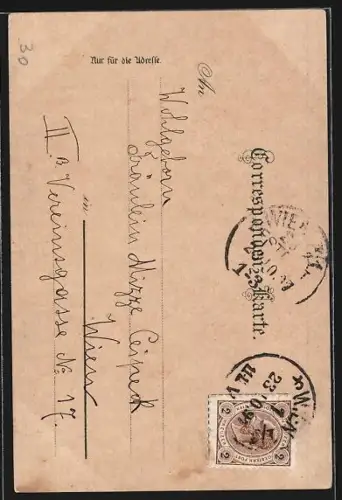 Lithographie Wien, Rathaus mit Vorplatz