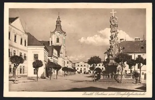 AK Zwettl, Rathaus und Dreifaltigkeitssäule