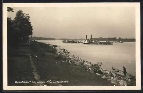 AK Zwentendorf a. d. Donau, Uferpartie mit Dampfer