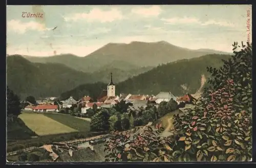 AK Türnitz, Teilansicht mit Kirche