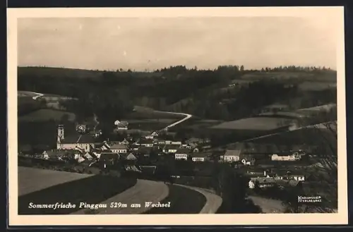 AK Pinggau am Wechsel, Teilansicht mit Kirche
