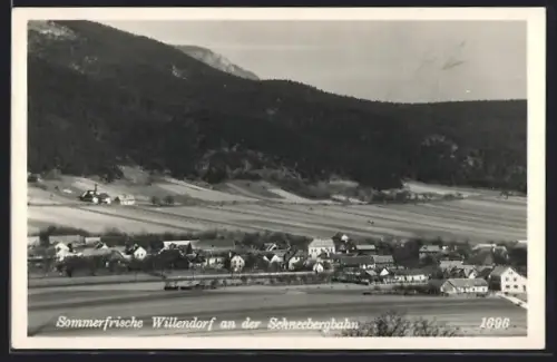 AK Willendorf an der Schneebergbahn, Teilansicht