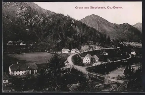 AK Steyrbruck /Ob.-Oester., Ortspartie mit Strasse