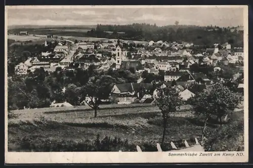 AK Zwettl am Kamp, Teilansicht mit Strassenpartie