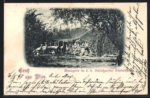 AK Wien, Menagerie im k. k. Schlossgarten Schönbrunn